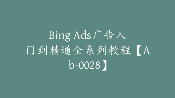 Bing Ads广告入门到精通全系列教程【Ab-0028】