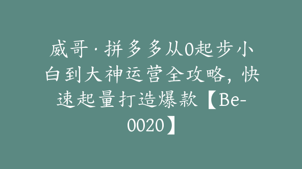 威哥·拼多多从0起步小白到大神运营全攻略，快速起量打造爆款【Be-0020】