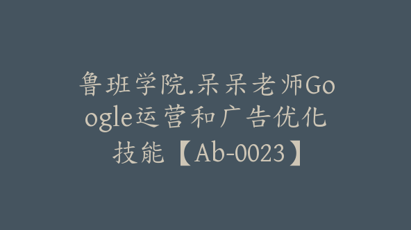 鲁班学院.呆呆老师Google运营和广告优化技能【Ab-0023】