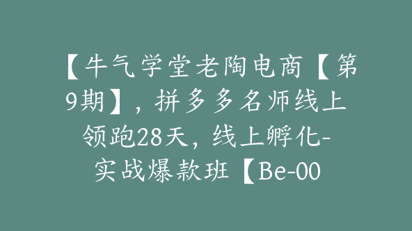 【牛气学堂老陶电商【第9期】，拼多多名师线上领跑28天，线上孵化-实战爆款班【Be-0002】