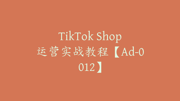 TikTok Shop运营实战教程【Ad-0012】