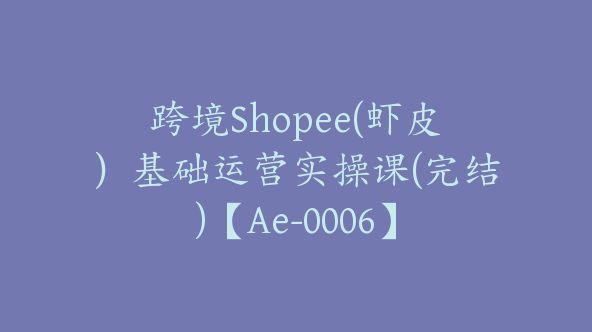 跨境Shopee(虾皮）基础运营实操课(完结)【Ae-0006】
