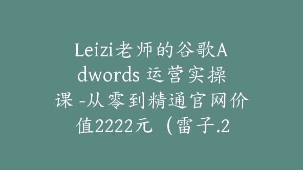 Leizi老师的谷歌Adwords 运营实操课 -从零到精通官网价值2222元（雷子.22）