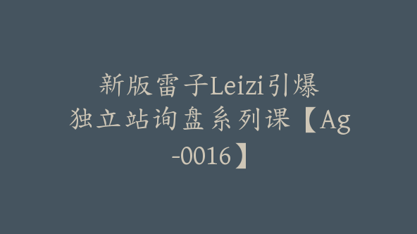 新版雷子Leizi引爆独立站询盘系列课【Ag-0016】