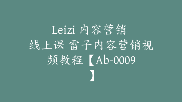 Leizi 内容营销 线上课 雷子内容营销视频教程【Ab-0009】