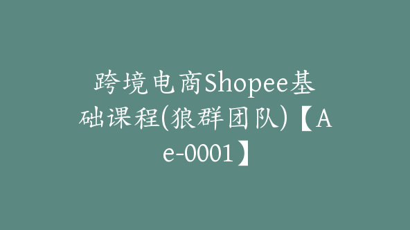 跨境电商Shopee基础课程(狼群团队)【Ae-0001】