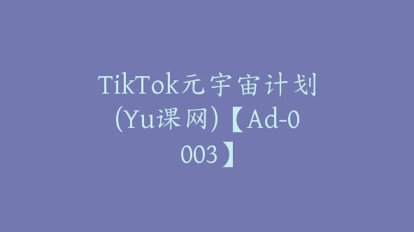 TikTok元宇宙计划(Yu课网)【Ad-0003】