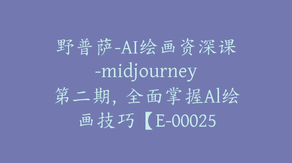 野普萨-AI绘画资深课-midjourney第二期，全面掌握Al绘画技巧【E-00025】