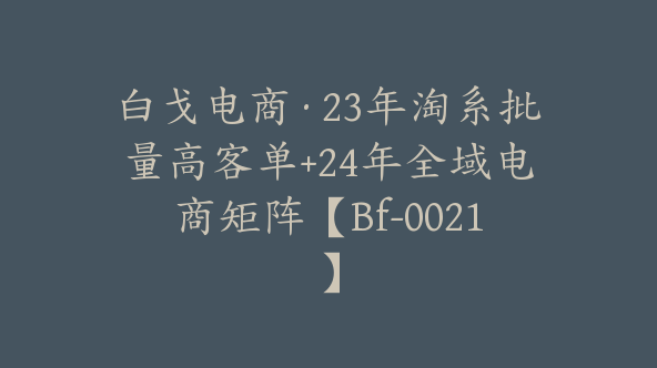白戈电商·23年淘系批量高客单+24年全域电商矩阵【Bf-0021】