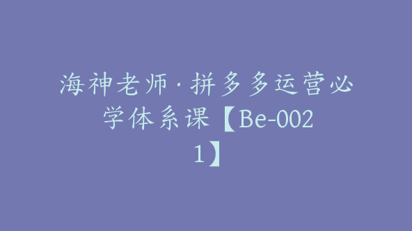 海神老师·拼多多运营必学体系课【Be-0021】