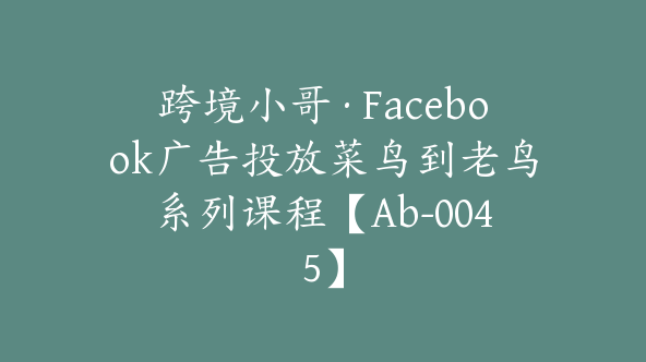 跨境小哥·Facebook广告投放菜鸟到老鸟系列课程【Ab-0045】