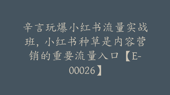 辛言玩爆小红书流量实战班，小红书种草是内容营销的重要流量入口【E-00026】