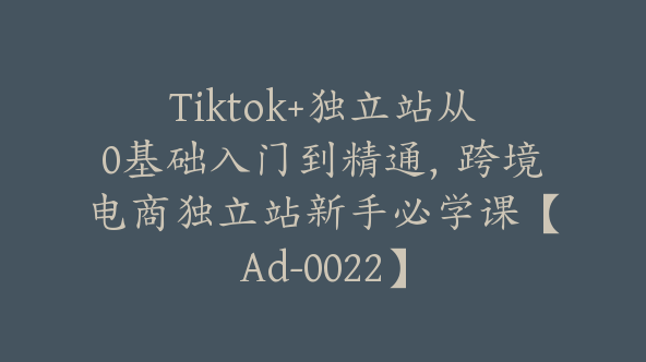 Tiktok+独立站从0基础入门到精通，跨境电商独立站新手必学课【Ad-0022】
