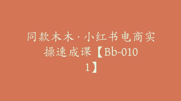 同款木木·小红书电商实操速成课【Bb-0101】