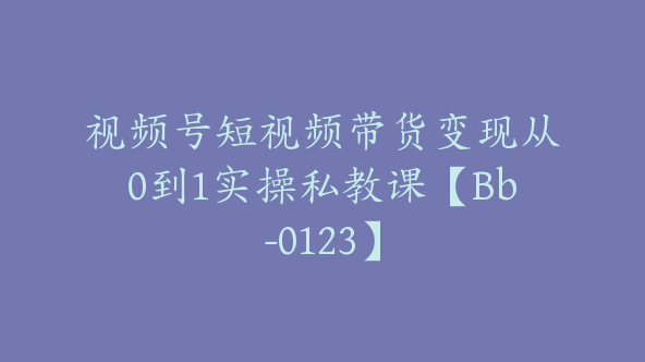 视频号短视频带货变现从0到1实操私教课【Bb-0123】