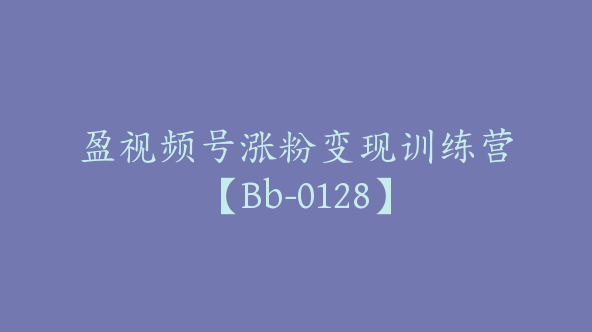 盈视频号涨粉变现训练营【Bb-0128】
