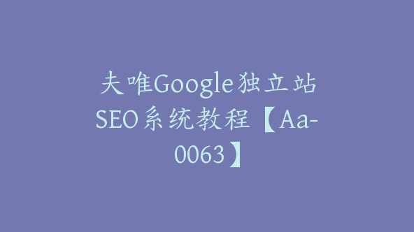 夫唯Google独立站SEO系统教程【Aa-0063】
