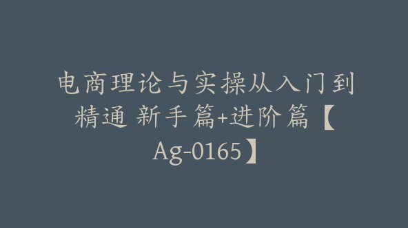 电商理论与实操从入门到精通 新手篇+进阶篇【Ag-0165】