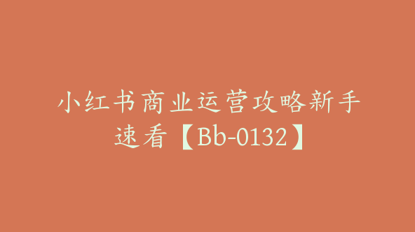 小红书商业运营攻略新手速看【Bb-0132】