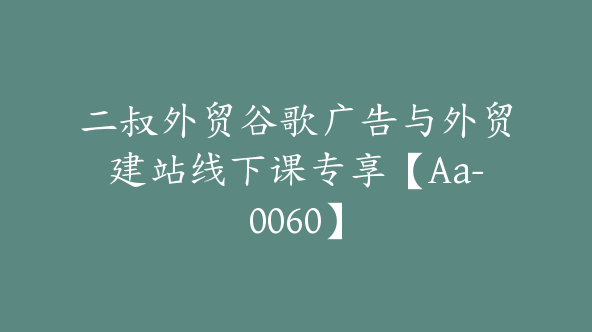 二叔外贸谷歌广告与外贸建站线下课专享【Aa-0060】