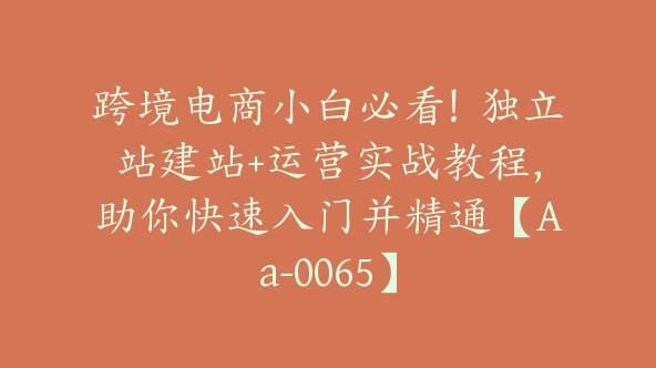 跨境电商小白必看！独立站建站+运营实战教程，助你快速入门并精通【Aa-0065】