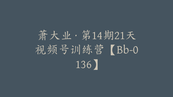萧大业·第14期21天视频号训练营【Bb-0136】