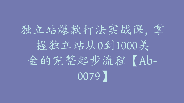独立站爆款打法实战课，掌握独立站从0到1000美金的完整起步流程【Ab-0079】