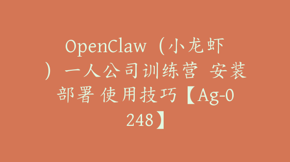 OpenClaw（小龙虾）一人公司训练营  安装部署 使用技巧【Ag-0248】